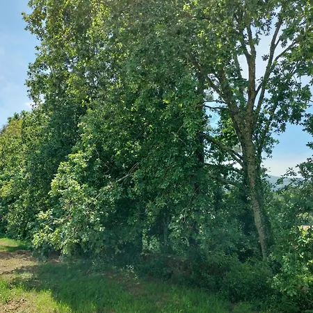 Casa Boucas Летний дом