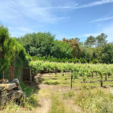 منزل ريفي Casa Boucas Melgaço