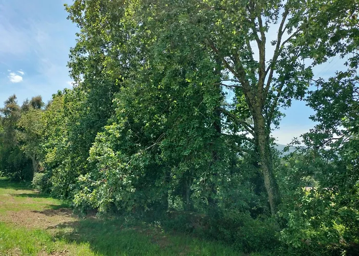 Casa Bouças Casa de Campo