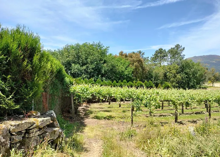 Casa de Campo Casa Bouças Melgaço